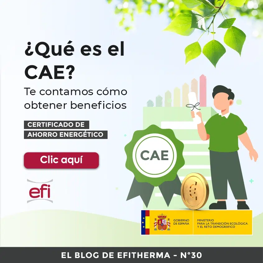 ¿Qué es el CAE y cómo funciona? Te contamos como obtener beneficios