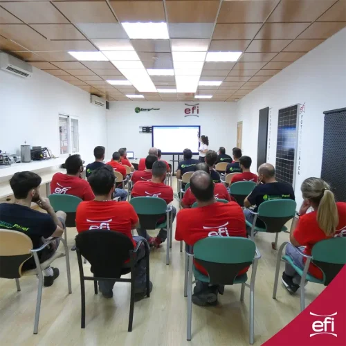 Formación Efitherma 1