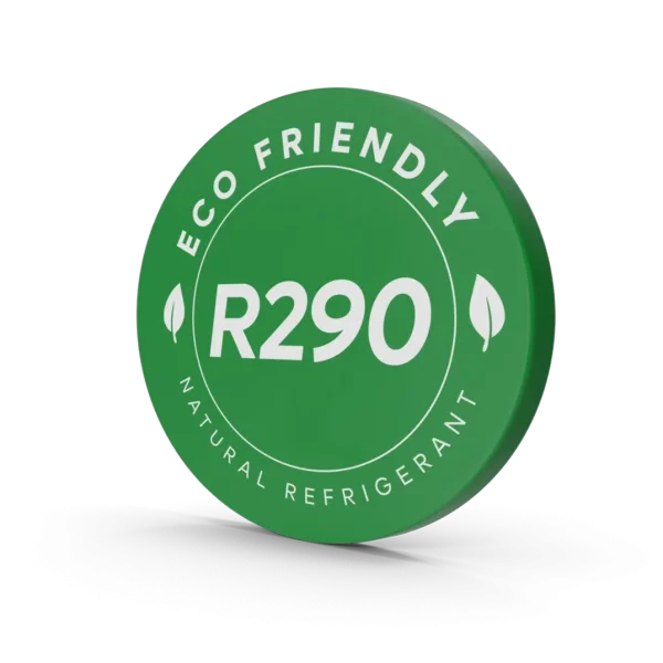 Logo-R290.webp